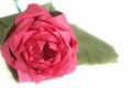 Origami rose close up Royalty Free Stock Photo