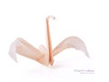 A origami swan Royalty Free Stock Photo