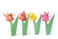 Origami tulip isolated over white