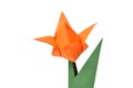 Origami tulip over white