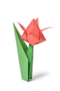 Origami tulip over white