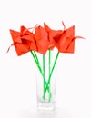 Origamis. Tulips.