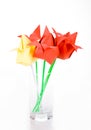 Origamis. Tulips.