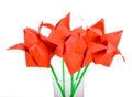 Origamis. Tulips.