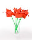 Origamis. Tulips.