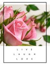 Roses flowers greetings card with love text quotes for Valentine Day Wedding