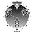 Origin of life: shell, radiolaria, larva. Background - a circle of the night star sky.