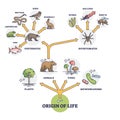 Origin of life and wildlife evolution from beginning species outline diagram