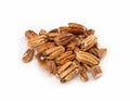 Organic Pecans Raw, No Shell Royalty Free Stock Photo