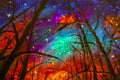 Original acrylic painting Night landscape. Beautiful illustration starry sky through trees