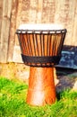 Original african djembe drum with leather lamina, on green in sun light Royalty Free Stock Photo