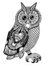 Original artwork of owl, ink hand drawing in