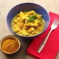 Asian curry Chicken dish