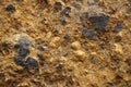 Original background from brown earth with stones