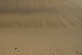 Original background of golden sand in the dunes on a sunny day