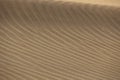 Original background of golden sand in the dunes on a sunny day