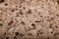 Original background from wholemeal wholemeal bread with grains in a close-up Royalty Free Stock Photo