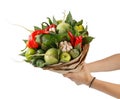 Original beautiful bouquet of vegetables and fruits in the hands of a girl on a white background Royalty Free Stock Photo