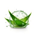 The original composition is of aloe leaves and healing moisture on a white background. A pure, juicy gift of nature to