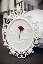 The original composition of a red rose on a white paper background in a vintage frame in a baroque style Royalty Free Stock Photo