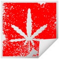 A creative quirky distressed square peeling sticker symbol marijuana