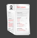 Original cv / resume template