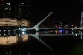 Original design bridge in buenos aires