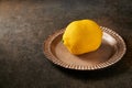 Original dessert fruit lemon according to the idea of French confectioners