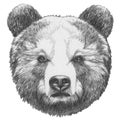 Original drawing of Bear.