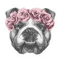 Original drawing of English Bulldog with floral head wreath.