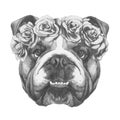 Original drawing of English Bulldog with floral head wreath.
