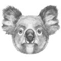 Original drawing of Koala.