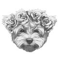 Original drawing of Maltese Poodle with floral head wreath.