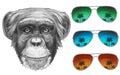 Original drawing of Monkey with mirror sunglasses.