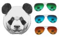 Original drawing of Panda with mirror sunglasses.