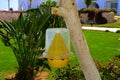 The original ecological trap for flies of yellow plastic hangs on a tree against a background of greenery