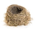 Original empty bird's nest close-up isolated on a white background. Royalty Free Stock Photo