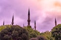 Original exterior view of iconic Istanbul Sultanahmet Mosque or Blue Mosque, with minarets and columns emerging from trees. Royalty Free Stock Photo