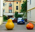 Original fencing in form of fruits to prevent entry into courtyard