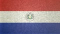 Original flag image of the Paraguay 3D.