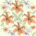 Original floral background with orange lilies