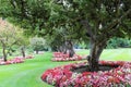 The original flower beds around the trees Royalty Free Stock Photo