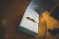 Original golden wedding rings in the white box