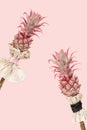 Original holiday Exotic flowers Dwarf Ornamental Pineapple. Trendly unusual plant for romantic holiday. Minimal style