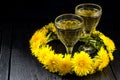 Original homemade dandelion wine Royalty Free Stock Photo