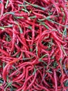 ORIGINAL INDONESIAN FRESH CURLY RED CHILLI.