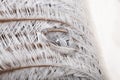 Original interesting abstract background with white-beige ostrich feathers in close-up