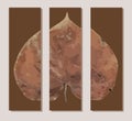 Original interior panel on the wall. Triptych. Autumn leaf. Trend poster