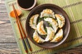 Original Japanese dumplings Gyoza with vegetables closeup on the plate. Horizontal top view