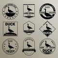 The original logo for the duck. Farm grown meat. Premium quality. Royalty Free Stock Photo